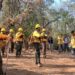 Finalmente controlan el incendio forestal en Nuevo Urecho