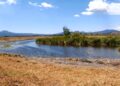 Tres nuevos manantiales consolidan rescate del lago de Pátzcuaro