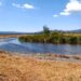 Tres nuevos manantiales consolidan rescate del lago de Pátzcuaro