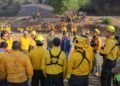 Da seguimiento y coordinación Dayana Pérez al incendio forestal en Copándaro