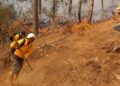 Con apoyo aéreo, 149 brigadistas atacan incendio forestal en Salvador Escalante