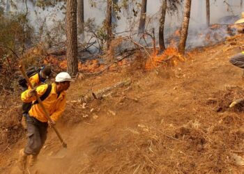 Continúan labores coordinadas para controlar incendio forestal en Copándaro