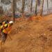 Con apoyo aéreo, 149 brigadistas atacan incendio forestal en Salvador Escalante