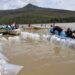 Gobierno estatal libera 40 mil crías de pez blanco en el Lago de Pátzcuaro