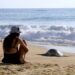 Las playas de Michoacán te esperan para una escapada inolvidable este verano
