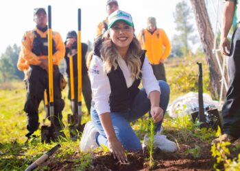 Inicia Dayana Pérez campaña Reforestando Salvador Escalante