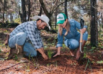 Apoyan Dayana Pérez y ejidatarios campaña Reforestando Salvador Escalante