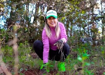 Encabeza Dayana Pérez reforestación en Zirahuén con 6 mil árboles