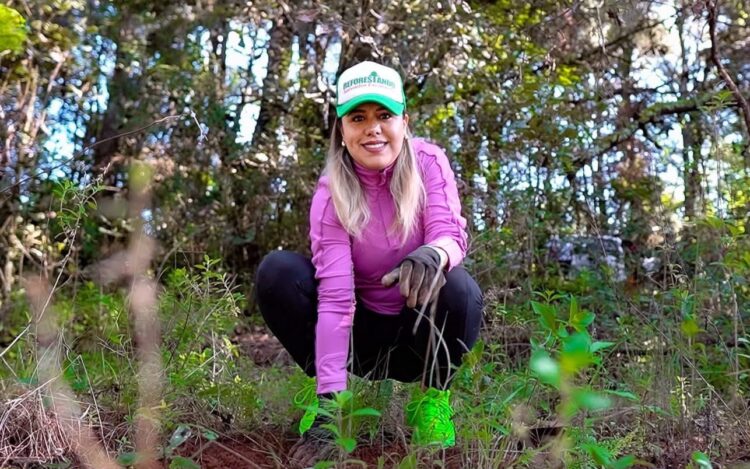 Encabeza Dayana Pérez reforestación en Zirahuén con 6 mil árboles