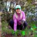 Encabeza Dayana Pérez reforestación en Zirahuén con 6 mil árboles