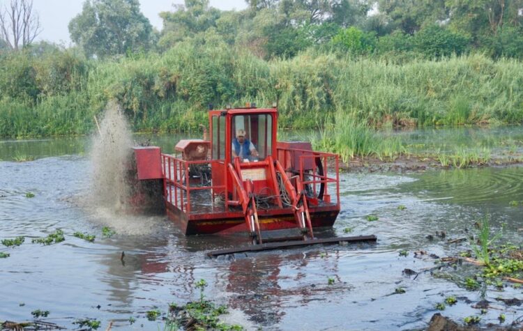 Consolidan rescate del lago de Pátzcuaro con obras en canal Erongarícuaro