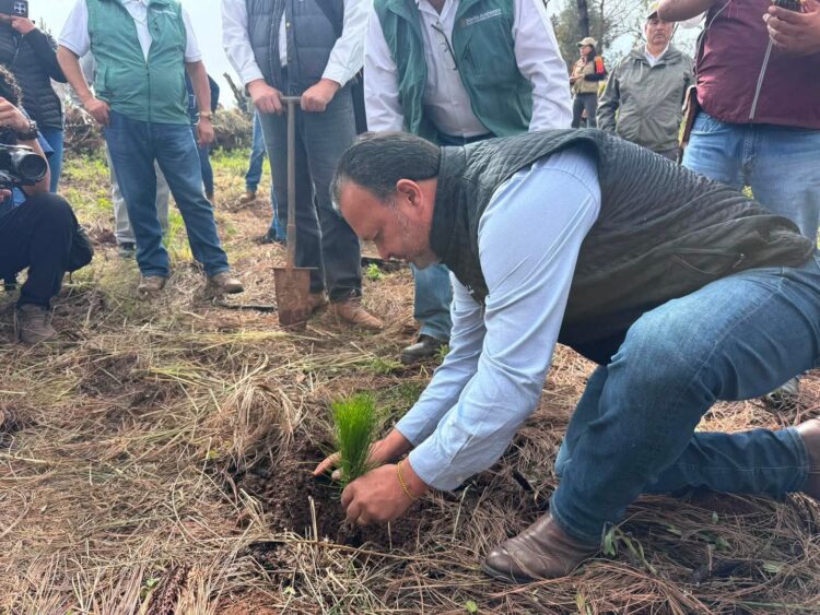 Cuidar los bosques es cuidar el agua, el lago y el futuro de Pátzcuaro: Julio Arreola