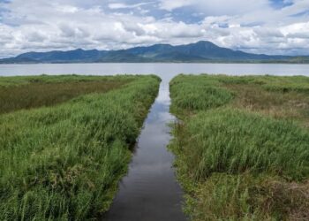 Intensifican trabajos de desazolve en lago de Cuitzeo con maquinaria especializada