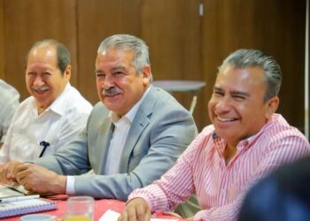 Movimiento del Sombrero, Movimiento de Privilegios: Fidel Calderón Torreblanca
