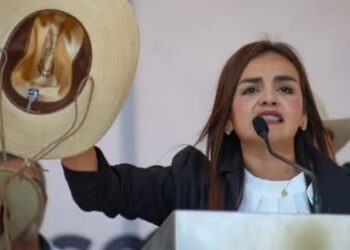La política no puede sustituir a la justicia