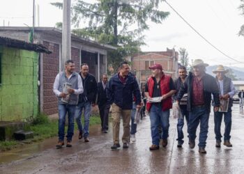 Torres Piña: experiencia, territorio, trabajo y más