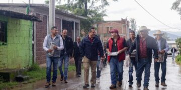 Torres Piña: experiencia, territorio, trabajo y más
