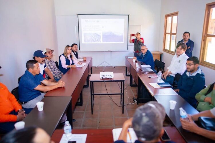 Protegen Dayana Pérez y comunidades los bosques de Salvador Escalante